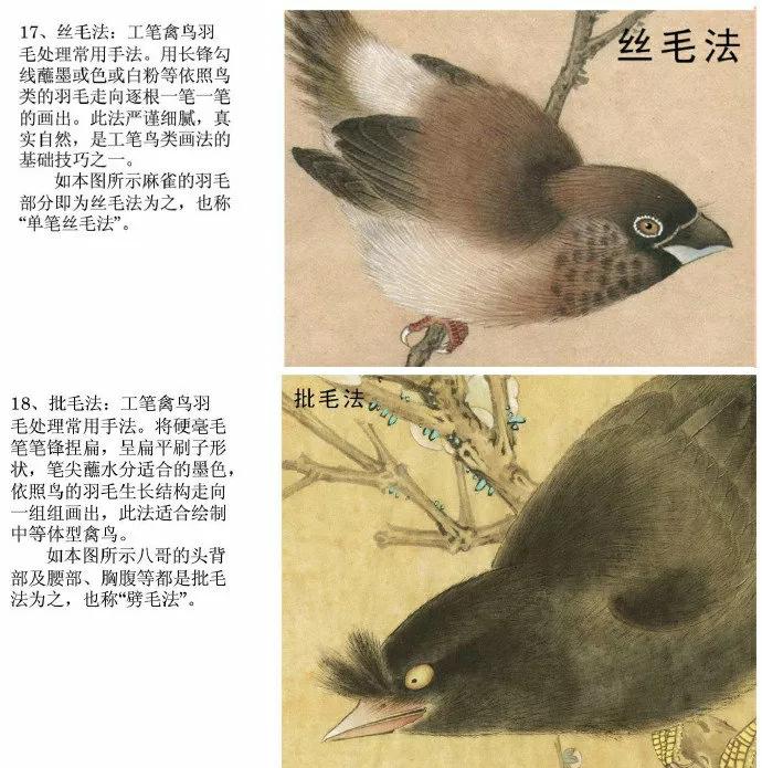 中国花鸟画国画教学,宋代工笔花鸟画表现技法