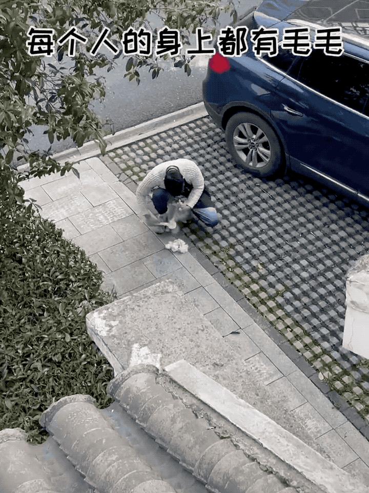 网友晒出5颗巨型毛球，救命！我快要窒息了