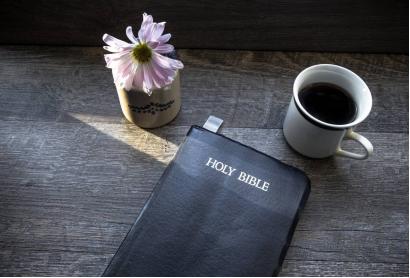 圣经中做事的法则,圣经七个法则