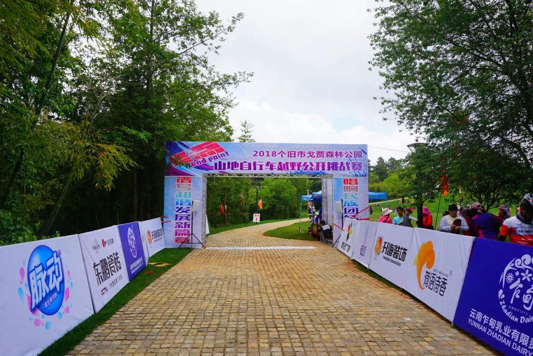 @个旧人，动起来！15分钟健身圈你打卡了吗？