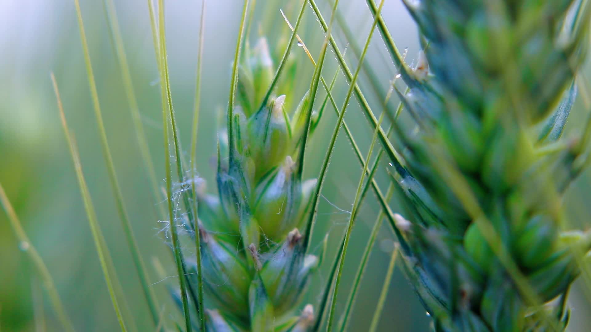 新手如何学做短视频剪辑工作内容,视频剪辑教学短视频