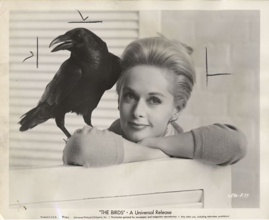 性感呆萌性子直，五十度灰女主原来这么可爱