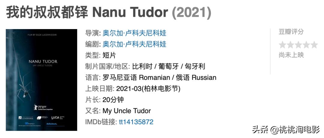 视频门、恋爱与出轨、法版李焕英……他们在柏林，都遭遇了什么？