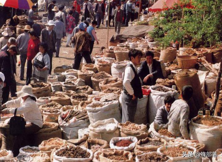 昆虫在哪买卖,农村常见的昆虫哪些可以养