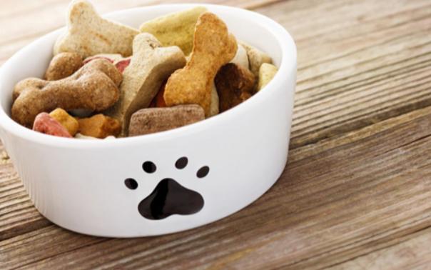 刚出生小狗如何护理和喂养,刚出生的小狗怎么喂养