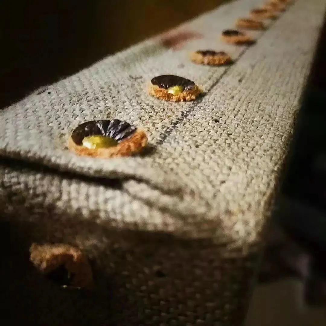 我要拆除绘画中画地为牢的“柏林墙”