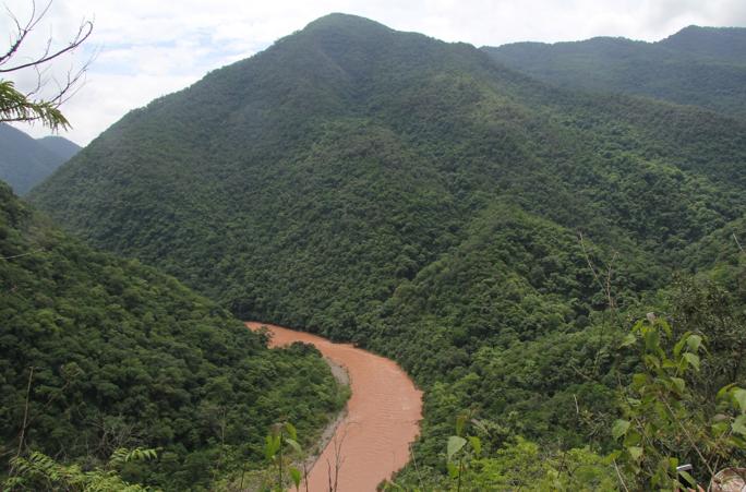 野生濒危动物绿孔雀现身孔雀之乡,绿孔雀濒危物种