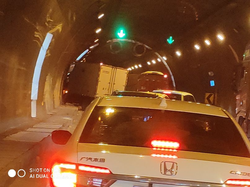 千里打疫苗，狂口大罗非