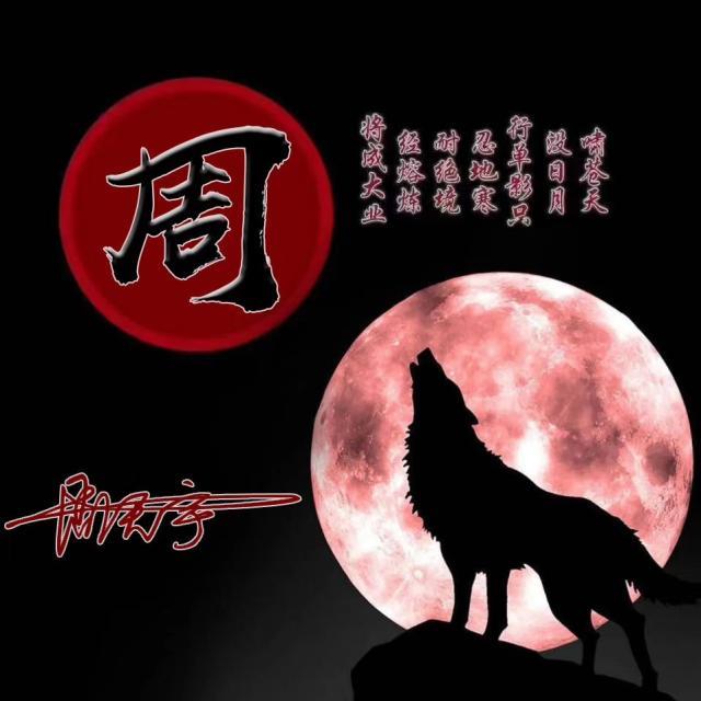 狼励志微信头像,狼的微信头像励志