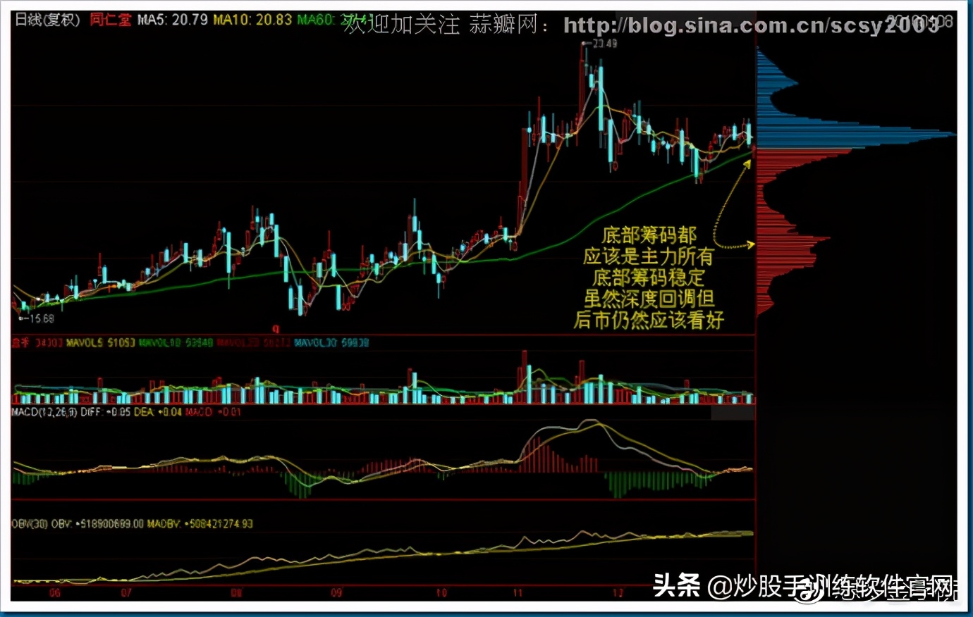 筹码分布图入门与技巧,筹码分布运用详解大全
