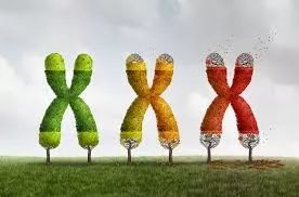 益生菌能抗住胃酸吗,益生菌护肤品抗衰老