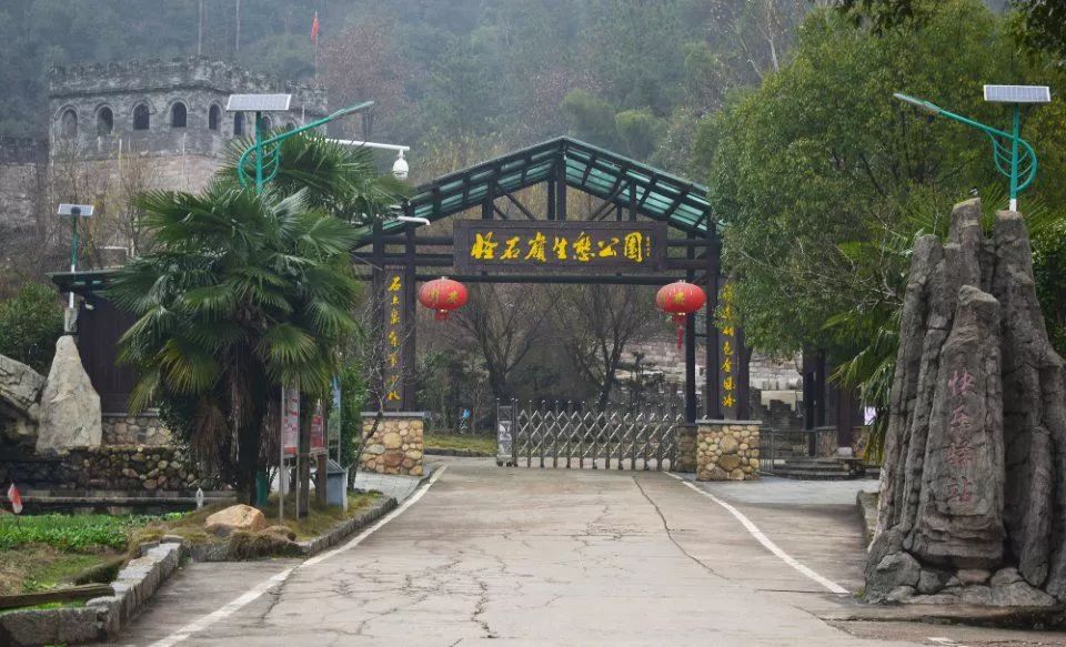 游玩半价票,0元门票玩上海