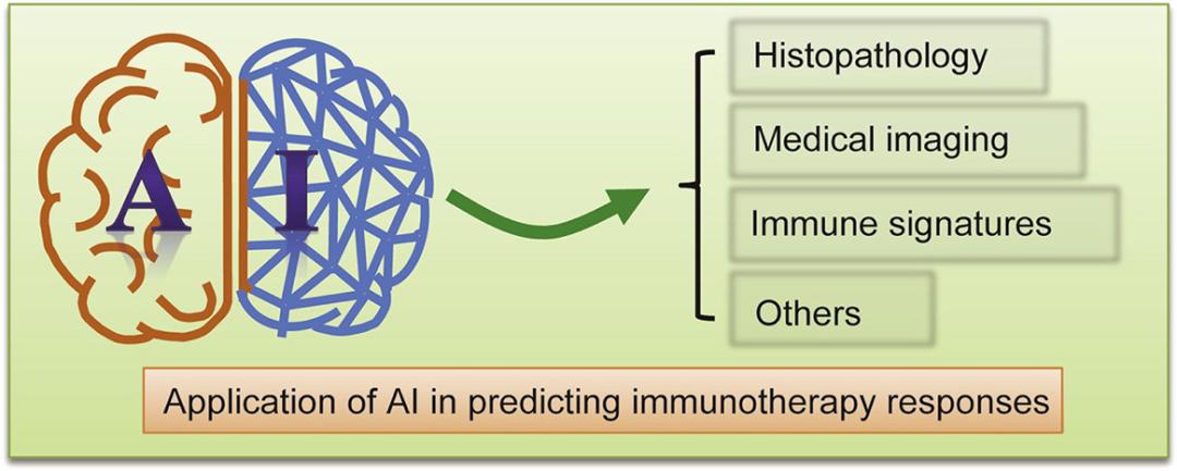 颠覆癌症治疗的黑科技,公认抗癌最好的方法