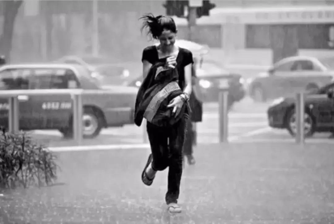 寻物启事行李箱,寻物启事书包类型