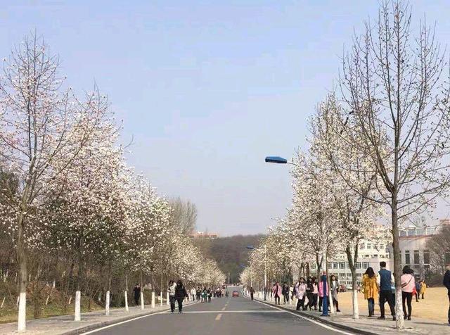 信阳师范大学终于来了，43年的老本科，河南第二师范高校加油！