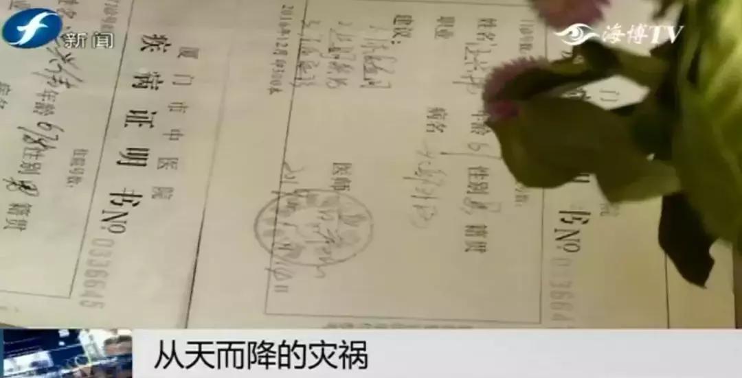 好险|大爷公园散步，硕大枝条垂直戳下，再偏毫厘后果不敢想！