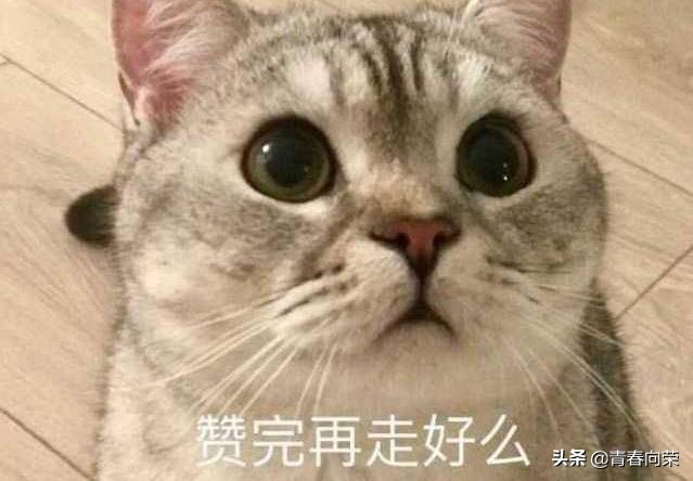 家用电脑显示器选购指南,不踩坑的高性价比显示器选购攻略