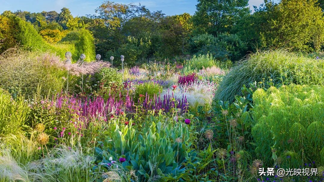 世界级国际花园摄影大赛,中国最美花园摄影作品