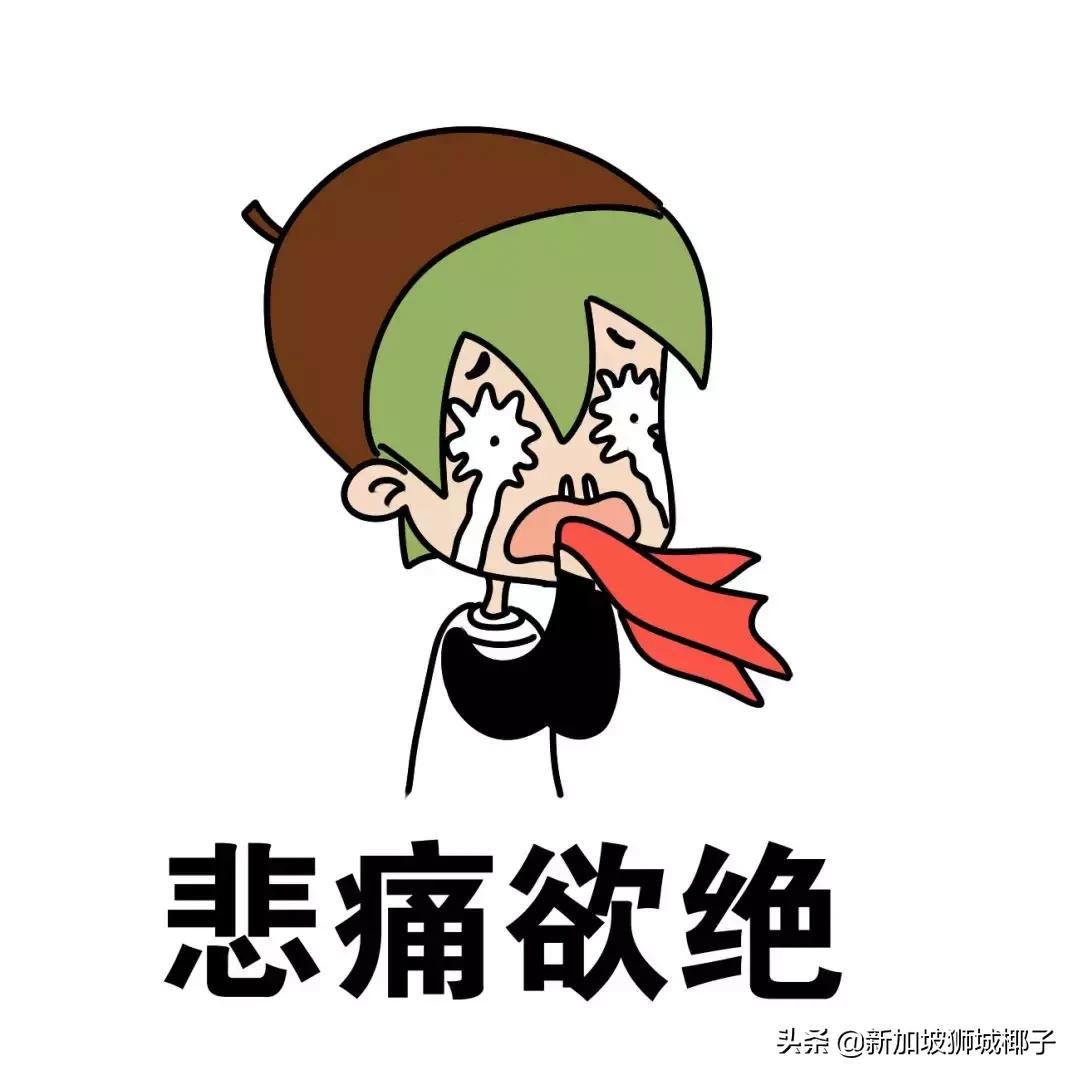 新加坡旅游攻略推荐花园,新加坡花园最新消息