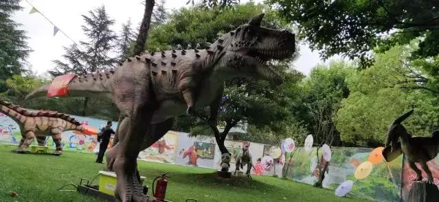 精品菊展、古风集市、植物科普…国庆七天假期，玩转昆明各大公园景区