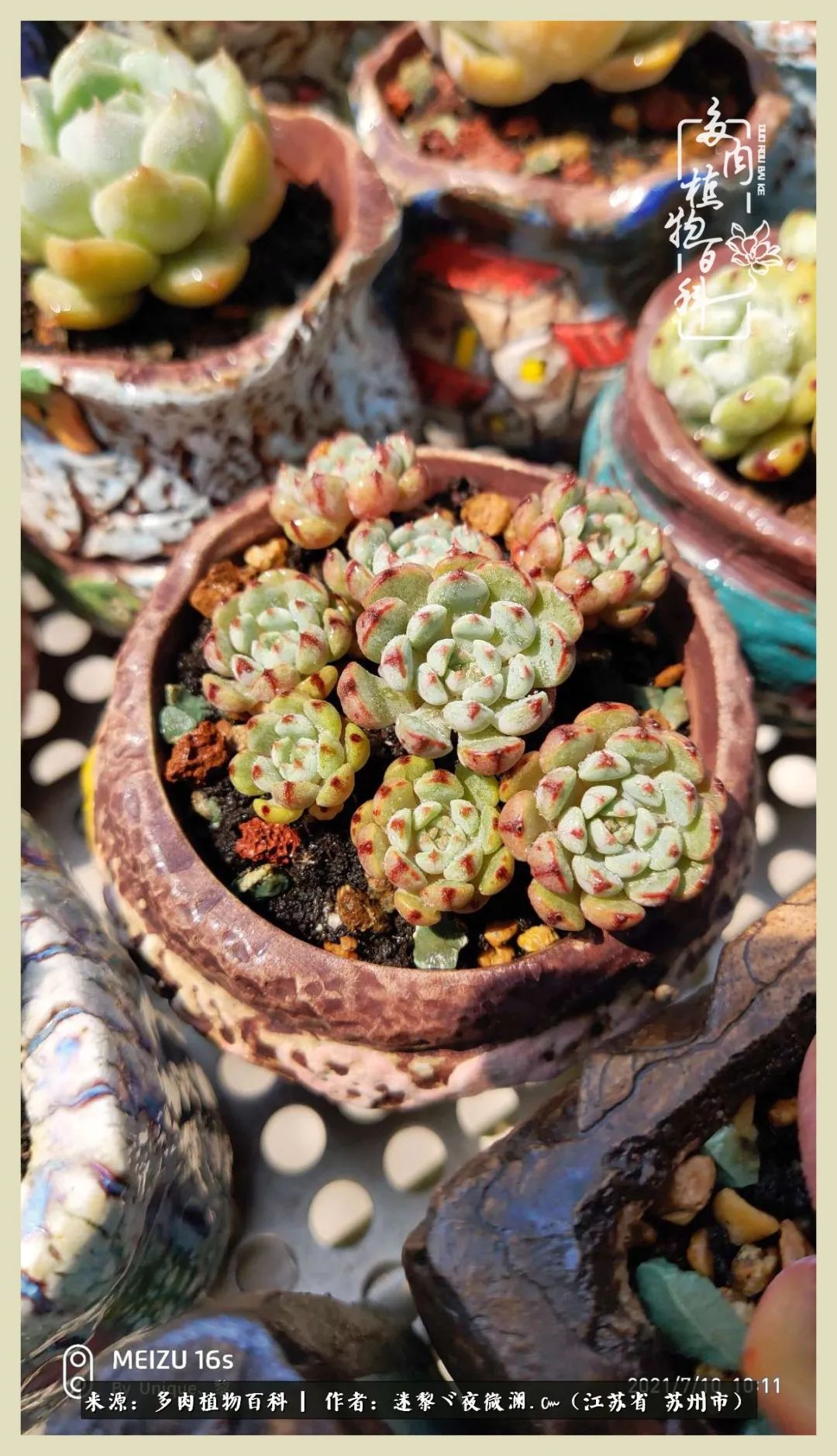 秋尽冬来岁月不居时节如流,岁月不居时节如流水