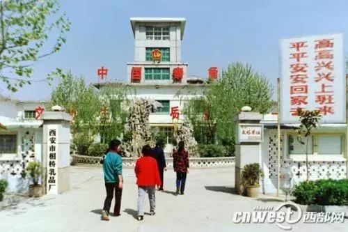 有一种牛奶叫啥,有种牛奶叫旺仔