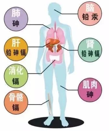 七波辉童鞋耐穿吗,七波辉断码加绒童鞋