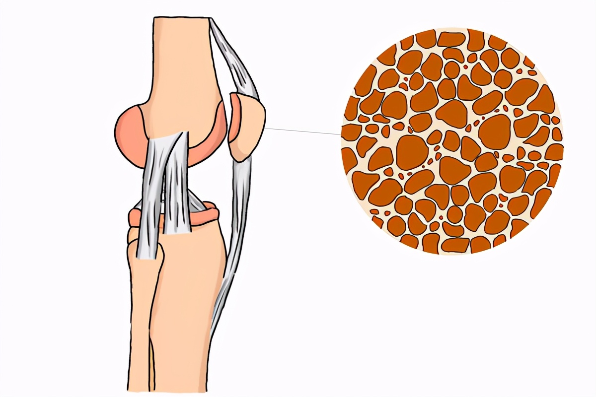 吃素对心血管有什么影响,经常吃素血液有什么变化