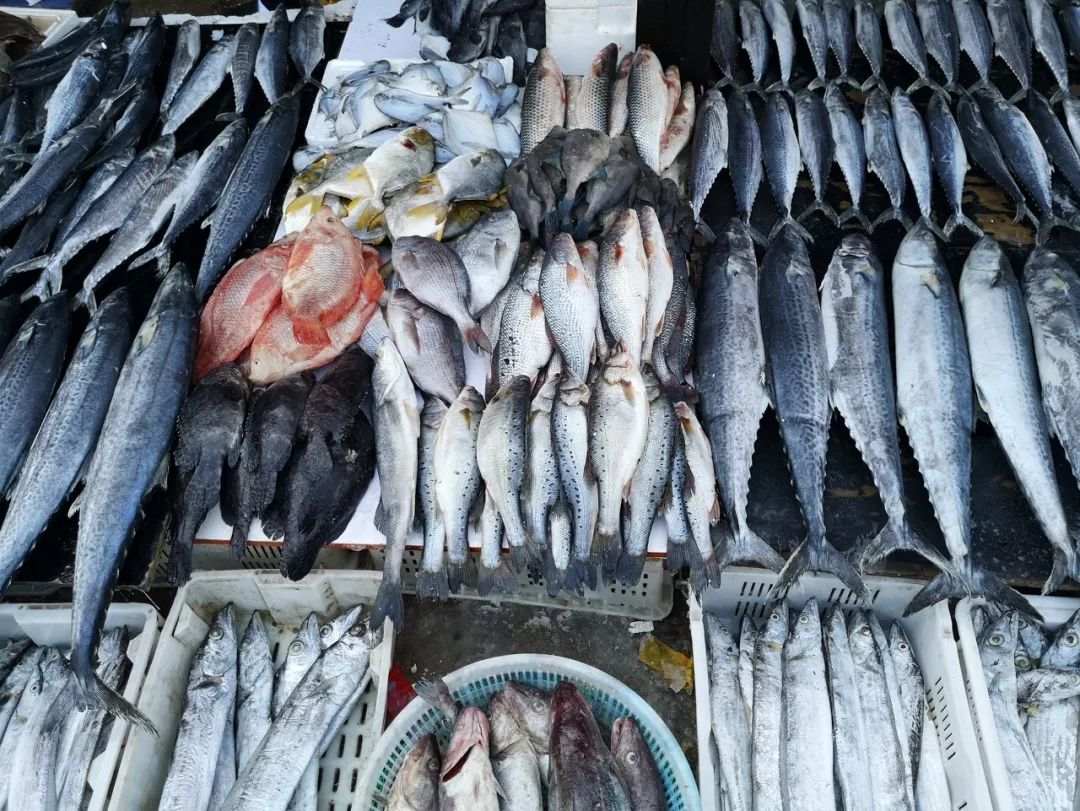 烟台自带仙气的城市,烟台福山名媛