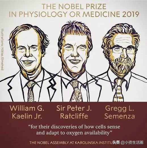 细胞如何感知氧气获2019年诺奖，有氧运动真能提升耐力吗？