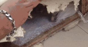 揭秘互联网比较常见的网赚骗局,知识分享割韭菜新套路