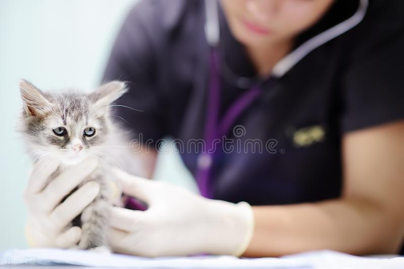特别难学的十大专业,不需要学历最好就业的十大专业