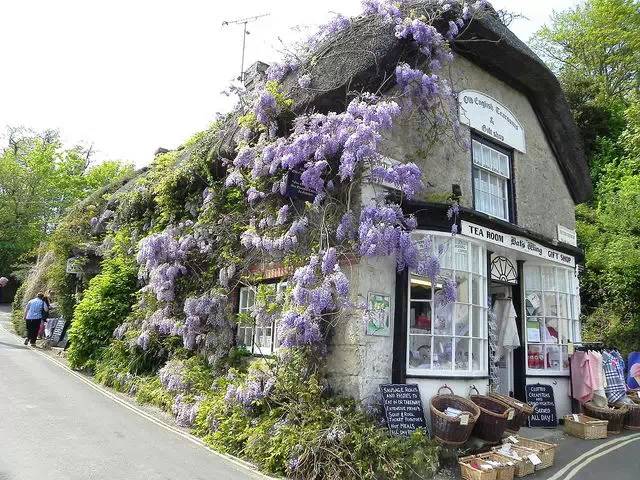 开家温暖小店遇见温暖的人,开一家温暖的小店等一位温暖的人