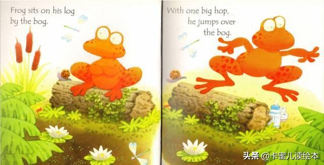 关于动物的英文小绘本故事大全,兔子和青蛙英文绘本