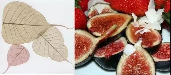 etro近况,etro佩斯利花纹真丝连衣裙