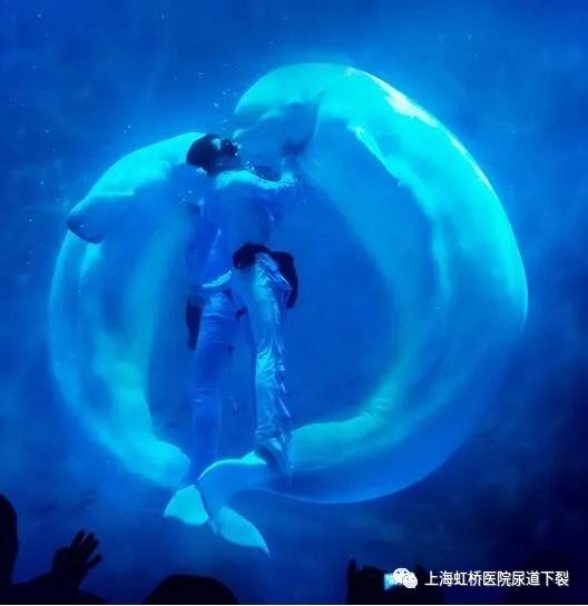 助力快乐童年｜上海虹桥医院尿道下裂男子汉成长营游学开始啦