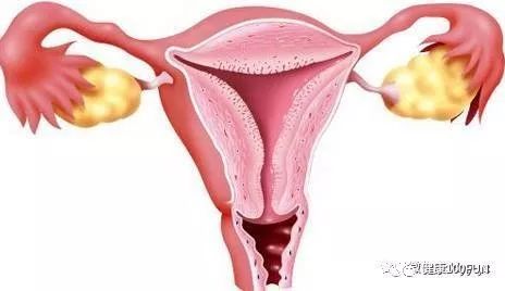 鏈堢粡鏈熷闃翠笉閫忔皵婀跨棐,濡囧コ涓嬮儴婀跨棐鐢ㄤ粈涔堣嵂