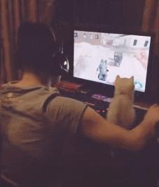 人狗大战电影免费观看,第一次人机大战视频