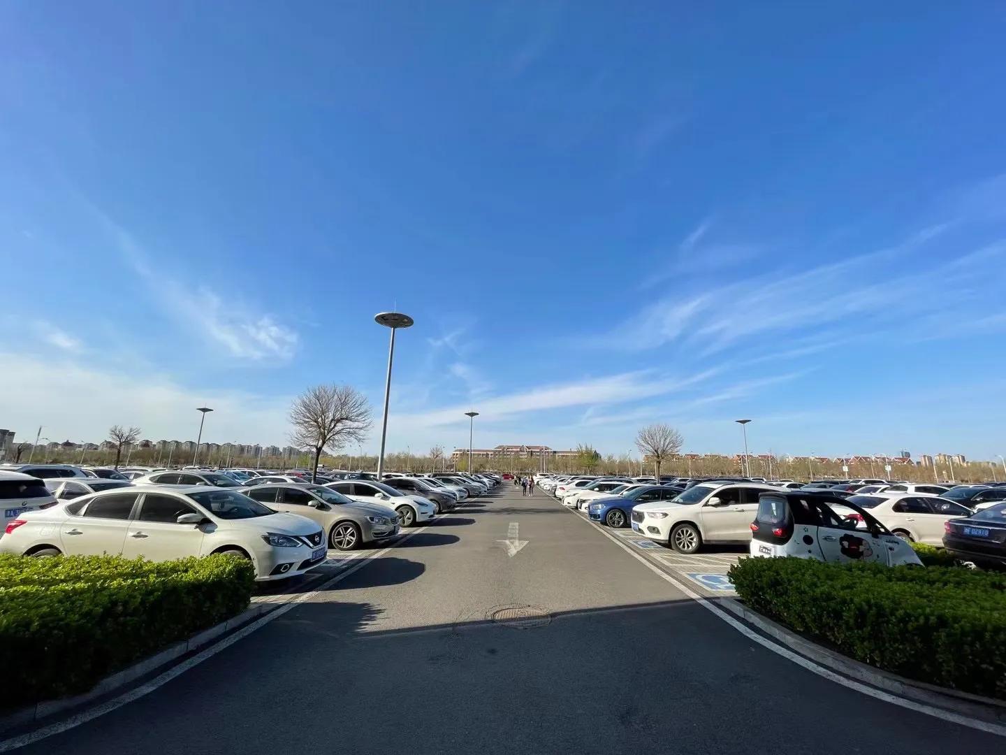 天津空港七彩花田几月去最好,空港七彩花田坐几路公交车去