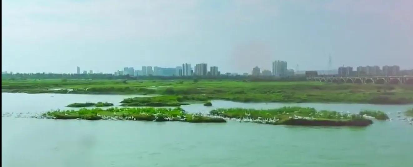 沭阳未来的城,沭阳未来发展