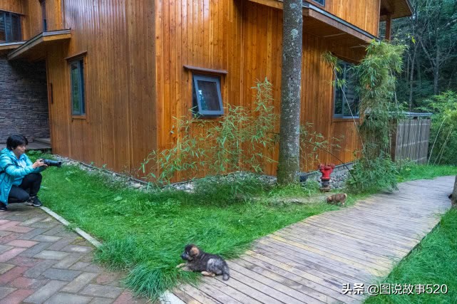 河南隐藏在山里的酒店,河南大山里的酒店