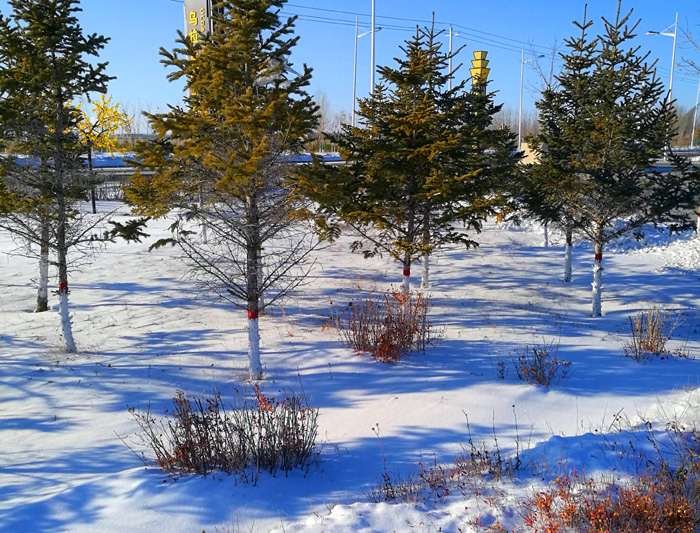 内蒙古旅游拍摄地点排名,内蒙古狼山地图