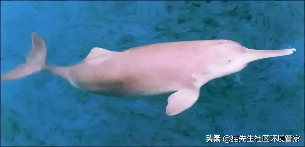 疯狂的裸体彩绘|这世间事十有八九都与垃圾分类有关