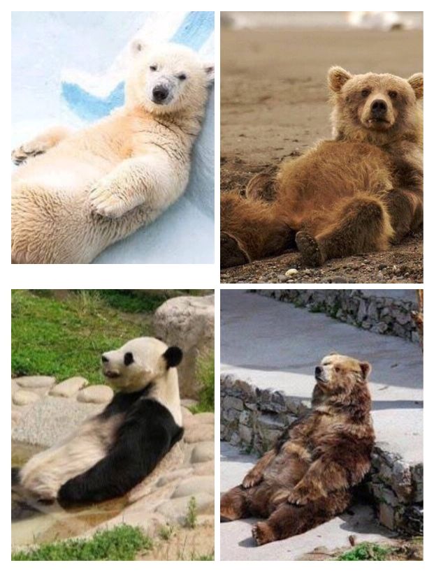 奇思妙想，牧民们往驯鹿的角上喷荧光漆来降低死亡率！