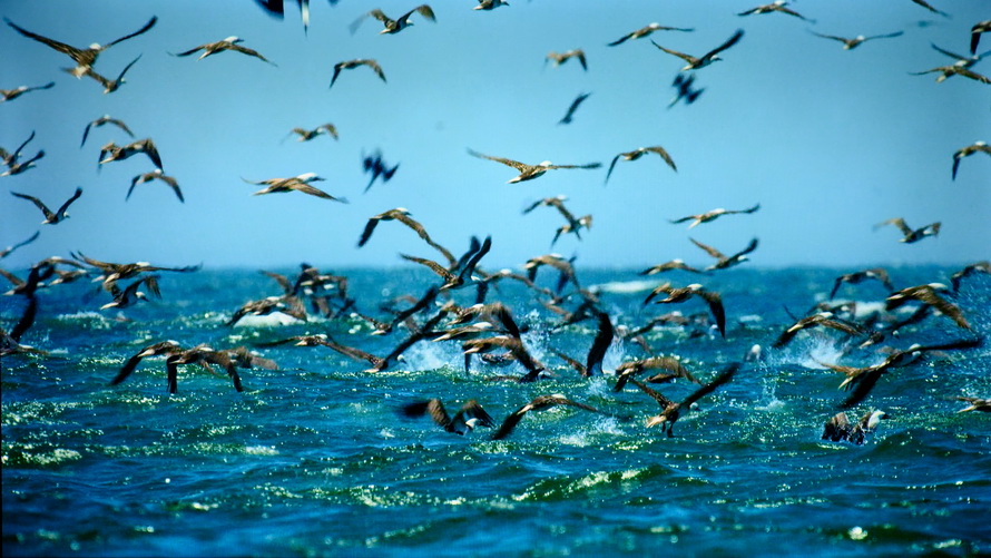 创维g2275寸电视怎么样,创维g22的画质如何