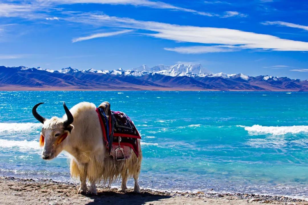 中国最有特色的旅游景点,中国特色旅游景点排名