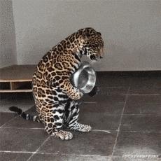 终于下班了搞笑gif图片,搞笑gif上班的时候打瞌睡尴尬了吧