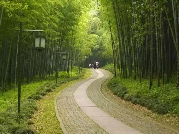 杭州隐宿网红民宿,杭州隐居山林古风小屋