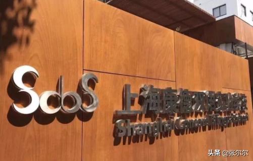 上海国际小学入学条件,上海最顶级的国际小学