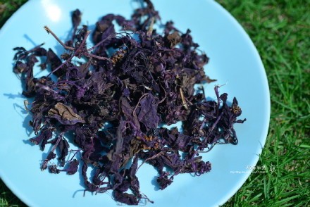 西餐香草大全及用途视频,好吃的西餐料理有哪些